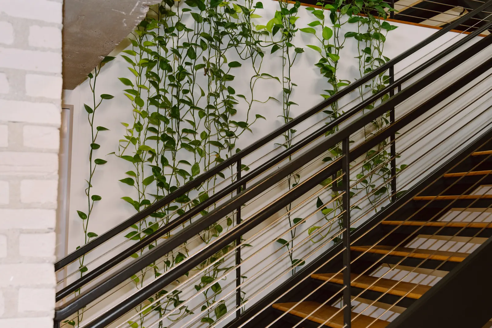 Steel staircase with hanging vines